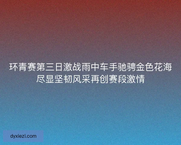 环青赛第三日激战雨中车手驰骋金色花海尽显坚韧风采再创赛段激情