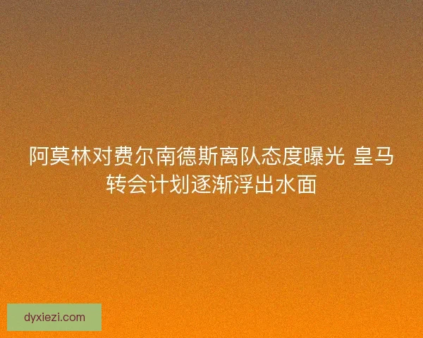阿莫林对费尔南德斯离队态度曝光 皇马转会计划逐渐浮出水面